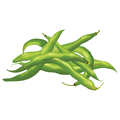 Haricots verts